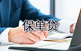 青海保单贷